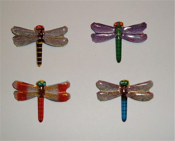 Dragonfly(S)