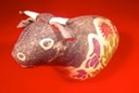 Ox